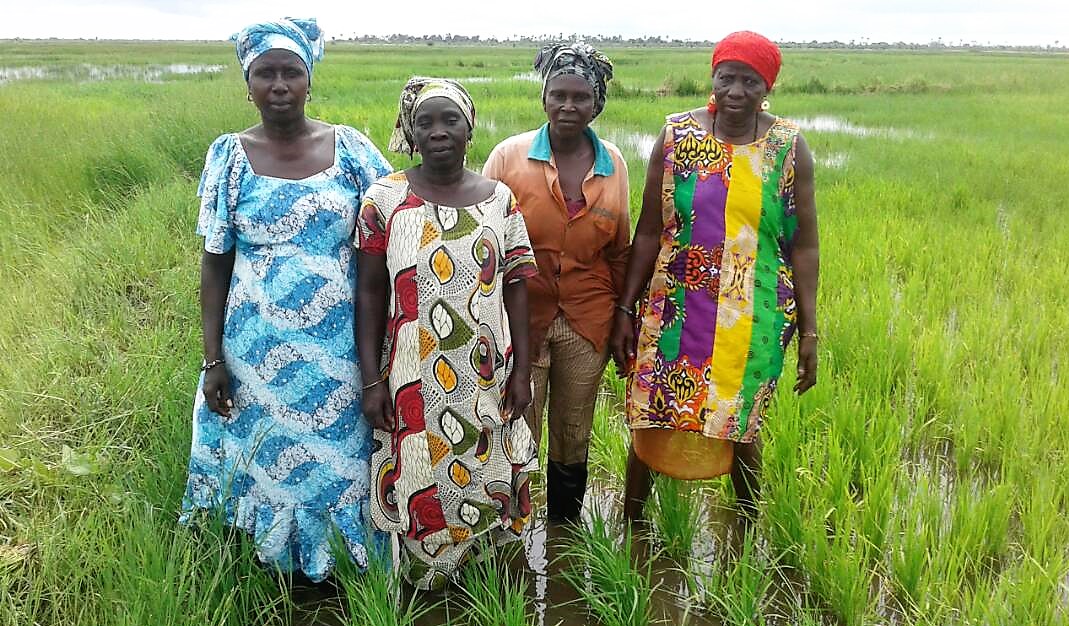 SÉNÉGAL : Des acteurs luttent pour sauver leur terre du sel (IRIN)