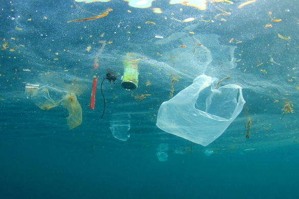 À 18 ans, il invente un aimant à micro-plastiques qui nettoie les océans !