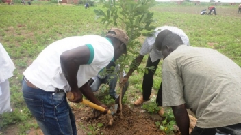 Le Burkina Faso booste sa politique de reforestation