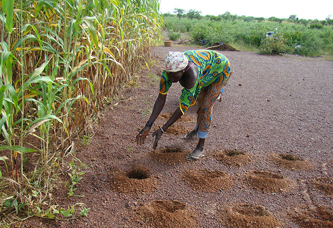 COP 25/ AGRICULTURE : LA CEDEAO MET SUR LA TABLE AFRICAINE UNE NOUVELLE INITIATIVE