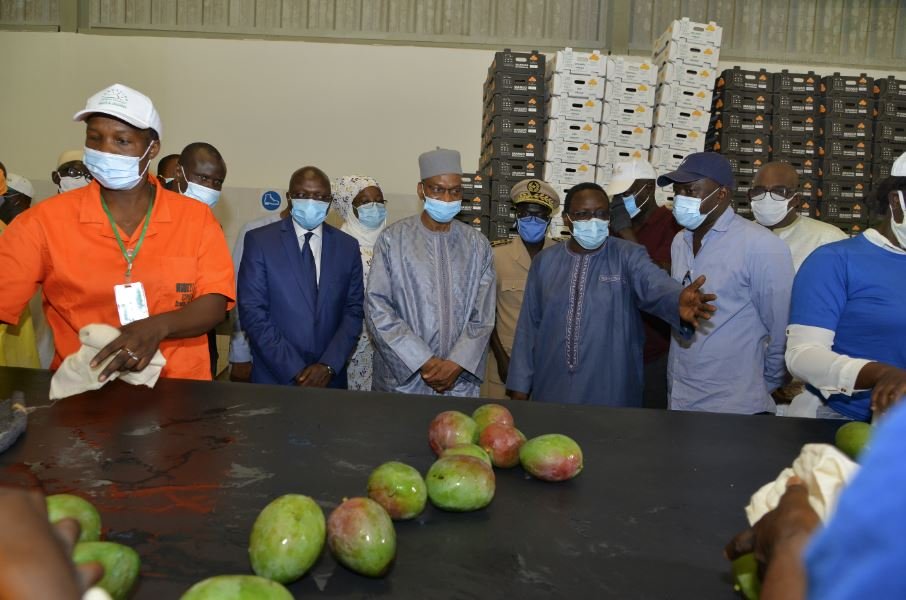 Première Edition de la Journée de la Mangue d’Exportation du Sénégal