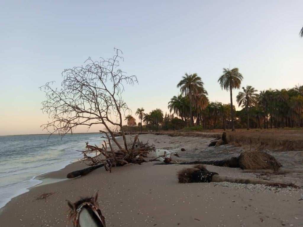 Iles du Saloum – Dionwar redoute l’avancée de la mer (images)