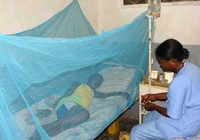 Paludisme: L’Union africaine approuve le vaccin antipaludéen de l’OMS