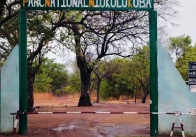 Trois convoyeurs de ciment meurent au cœur du parc de Niokolo Koba