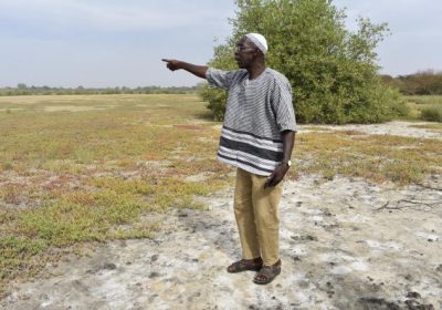 En Gambie, la lutte s’organise contre l’invasion du sel dans les rizicultures