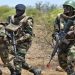Attaque rebelle en Gambie : 9 militaires sénégalais portés disparus