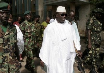 Trafic de Bois de rose entre le Sénégal et la Gambie : Yahya Jammeh et un homme d’affaires dans le viseur de la justice suisse