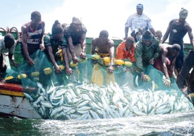 COMMUNIQUE DE PRESSE CONJOINNT: La pêche artisanale demande aux décideurs d’agir maintenant lors de la conférence des Nations unies sur les océans