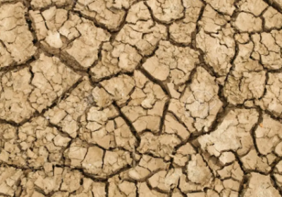 Réchauffement climatique : L’eau va devenir plus rare encore sur plus de 80% des terres cultivées d’ici 2050 (Rapport)