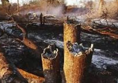 Ranch de Dolly : Un feu de brousse ravage plus de 200 hectares