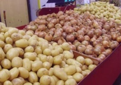 Oignon et pomme de terre : Les acteurs veulent réguler le marché