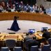 ONU : l’Algérie et la Sierra Leone élus au Conseil de Sécurité