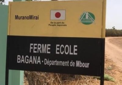Commune de Nguéniène : Des paysans formés dans la gestion durable des ressources naturelles