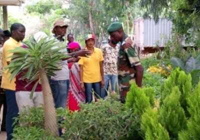 Expo horticole : Le Sénégal va installer 100 espèces végétales à Doha