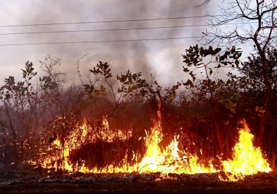Boyinadji : un feu de brousse ravage une importante surface de tapis herbacé