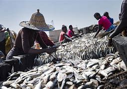 Lutte contre la surcapacité : Pourquoi il faut revoir la question des subventions dans le secteur de la pêche