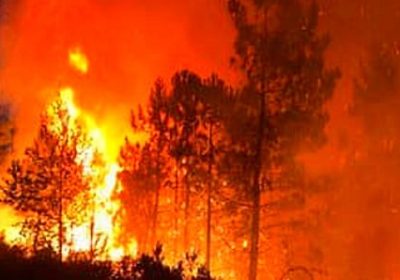 Matam: des feux de brousse ravagent 13641 hectares de tapis herbacé entre 2020 et 2024