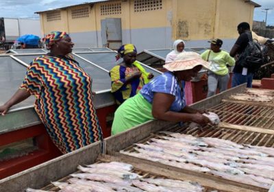 Transformation des ressources halieutiques : L’appui fort du Japon aux femmes de la Casamance