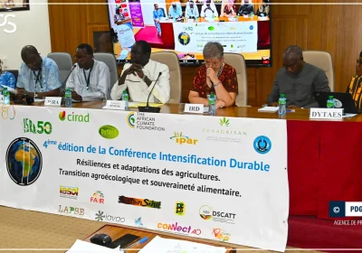 ENVIRONNEMENT-TRANSITION / Daouda Ngom : ”Il est impératif d’approfondir nos connaissances face aux défis environnementaux”
