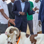 Tabaski : Bassirou Diomaye Faye marchande des moutons